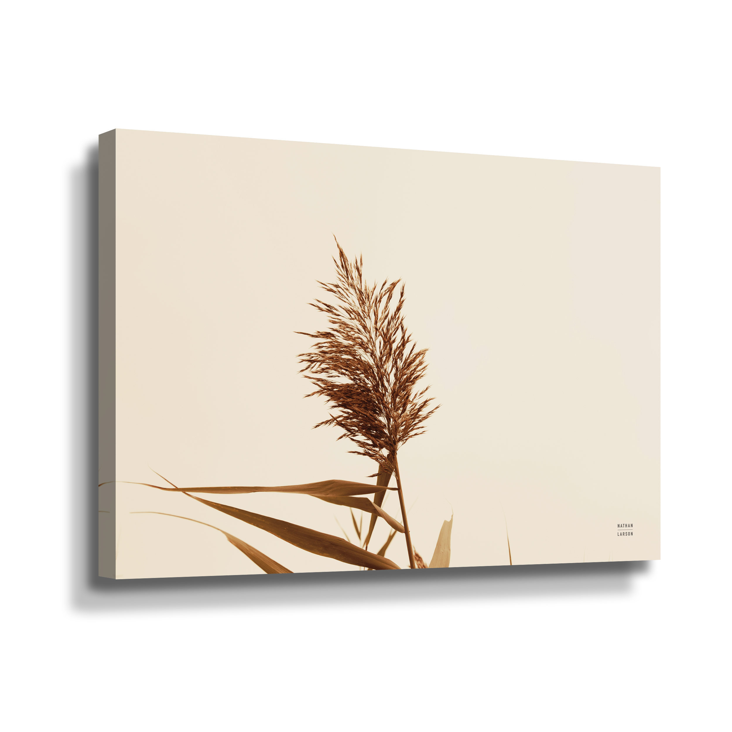 Latitude Run® Gallery Wrapped Canvas Wayfair
